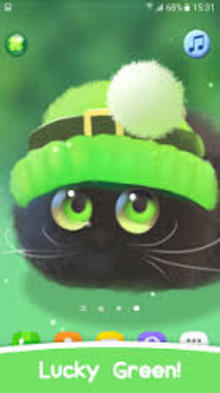 Boulder Green Team's avatar