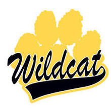 World Loving Wildcats's avatar